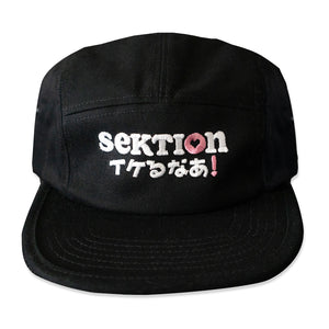 Sektion (it's cool) 5 Panel Cap (Black)